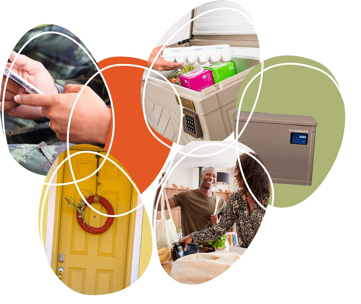 DynoSafe_Website_Home_Shark-Tank DynoSafe_Website_Home_Shark-Tank